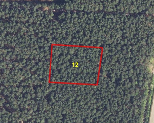 Lageskizze mit Luftbildunterlegung - Flurstück 12 - Über 1,4 Hektar Wald unweit östlich der Staubeckenlandschaft Bräsinchen-Spremberg **etwa 24 km vom Cottbuser Zentrum entfernt**