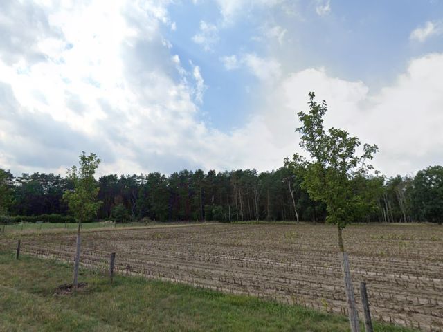Blick Richtung Flurstücke 112/4 und 112/7 und Umgebung - Über 1,4 Hektar Wald unweit östlich der Staubeckenlandschaft Bräsinchen-Spremberg **etwa 24 km vom Cottbuser Zentrum entfernt**