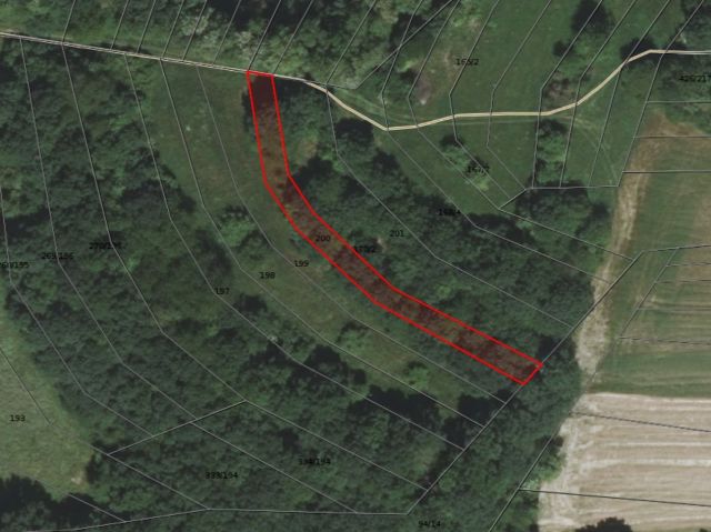 Lageskizze mit Luftbildunterlegung - Vertragsfreier, teilweise mit Bäumen bewachsener Grundstücksstreifen unweit zum Gelände des HIL-Werks in St. Wendel