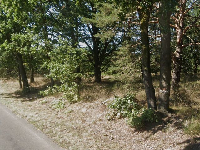 Blick auf Flurstück 540-3 und Umgebung - Vertragsfreie Splitterflächen in Kolkwitz **etwa 14 km von Cottbuser Zentrum entfernt**