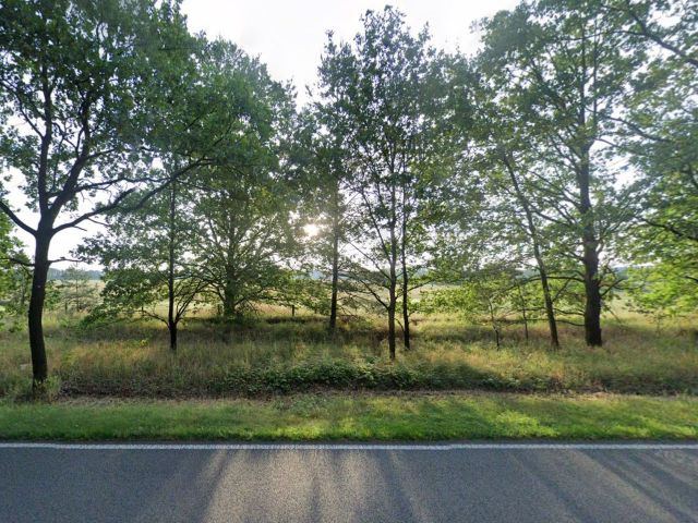 Lage des Verkaufsgegenstandes - Vertragsfreie Fläche mit Baumbewuchs an der B 109