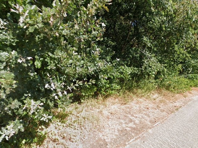 Verkaufsfläche - Über 1,6 Hektar Wald zwischen Wohnhäusern und Gewerbebetrieben ** unweit der Nordsee**