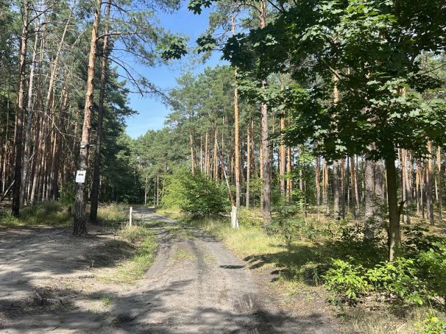 Flurstück 169/5 - Über 8 Hektar am Nicolassee **ca. 45 km südlich des Berliner Stadtzentrums**