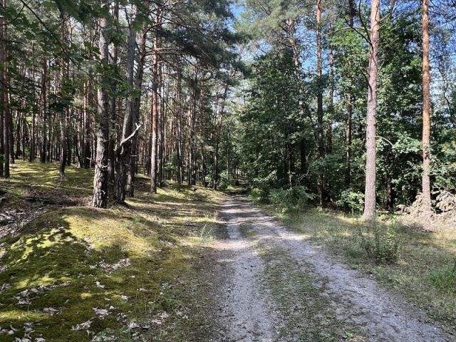 Flurstück 169/5 - Über 8 Hektar am Nicolassee **ca. 45 km südlich des Berliner Stadtzentrums**