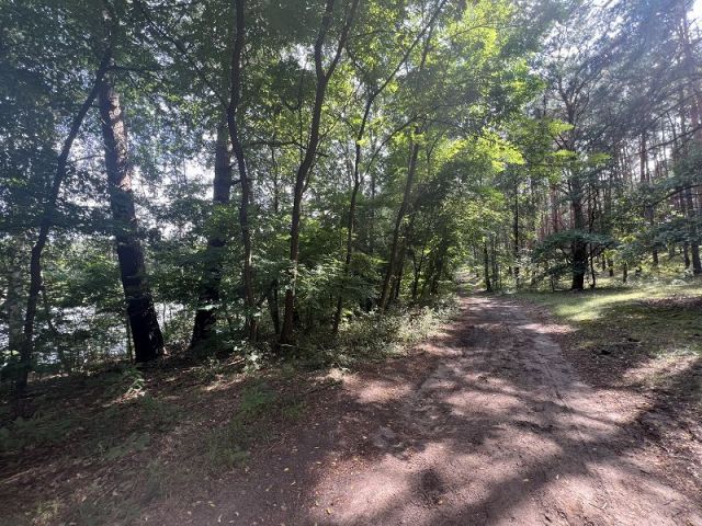 Flurstück 169/5 - Über 8 Hektar am Nicolassee **ca. 45 km südlich des Berliner Stadtzentrums**