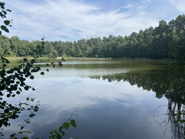 Über 8 Hektar am Nicolassee **ca. 45 km südlich des Berliner Stadtzentrums**