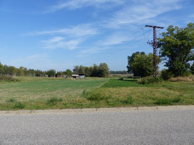 Blick auf Verkaufsfläche und Umgebung - Baugrundstück in Angermünde in der Uckermark  **ruhige und naturnahe Lage**