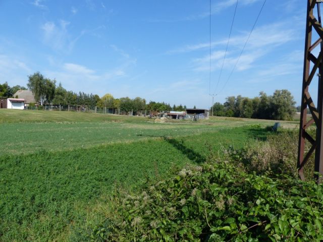 Blick auf Verkaufsfläche und Umgebung - Baugrundstück in Angermünde in der Uckermark  **ruhige und naturnahe Lage**