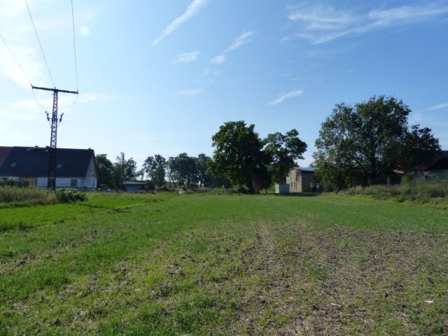 Blick auf Verkaufsfläche und Umgebung - Baugrundstück in Angermünde in der Uckermark  **ruhige und naturnahe Lage**