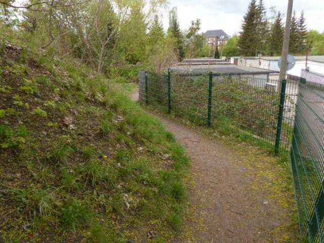 Blick auf Verkaufsfläche, Umgebung und angrenzenden Fußweg - Vertragsfreie mit Bäumen und Sträuchern bewachsene Fläche im Berliner Umland