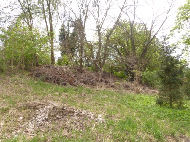 Blick auf Verkaufsfläche - Vertragsfreie mit Bäumen und Sträuchern bewachsene Fläche im Berliner Umland