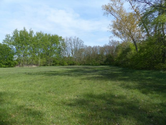 Blick auf Umgebung Richtung Verkaufsfläche - Waldfläche in Cottbus