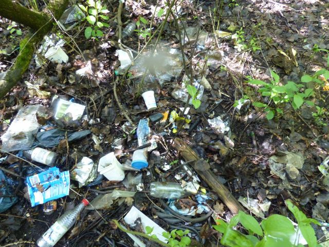 Müll auf der Verkaufsfläche - Waldfläche in Cottbus