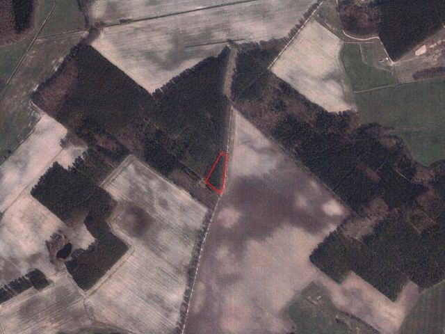 Lage des Verkaufsgegenstandes - Vertragsfreie Waldfläche am Ortsverbindungsweg Rosenwinkel - Grabow