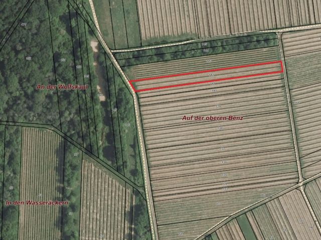 Lageskizze mit Luftbildunterlegung - Verpachtetes Grundstück - Weinanbau der Rebsorte Regent **Umgebung zur Nahe-Rhein Mündung**