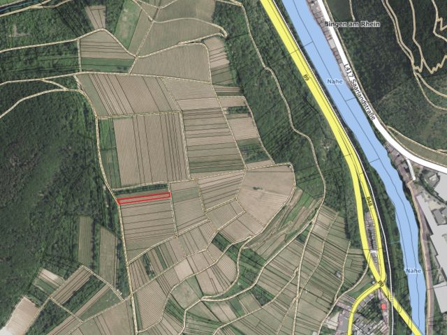 Lageskizze mit Umgebung und Luftbildunterlegung - Verpachtetes Grundstück - Weinanbau der Rebsorte Regent **Umgebung zur Nahe-Rhein Mündung**