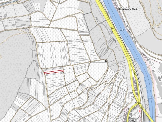 Lageskizze mit Umgebung - Verpachtetes Grundstück - Weinanbau der Rebsorte Regent **Umgebung zur Nahe-Rhein Mündung**
