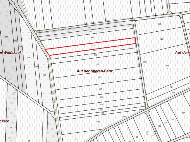 Lageskizze - Verpachtetes Grundstück - Weinanbau der Rebsorte Regent **Umgebung zur Nahe-Rhein Mündung**