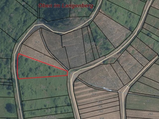 Lageskizze mit Luftbildunterlegung - Vertragsfreie Waldfläche in direkter Nachbarschaft eines Weinberges oberhalb der Mosel **zwischen Koblenz und Trier**
