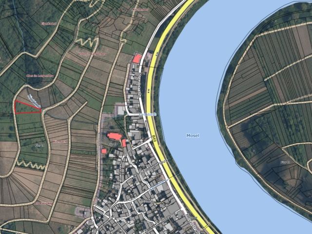 Lageskizze mit Umgebung und Luftbildunterlegung - Vertragsfreie Waldfläche in direkter Nachbarschaft eines Weinberges oberhalb der Mosel **zwischen Koblenz und Trier**