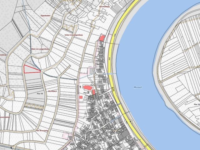 Lageskizze mit Umgebung - Vertragsfreie Waldfläche in direkter Nachbarschaft eines Weinberges oberhalb der Mosel **zwischen Koblenz und Trier**