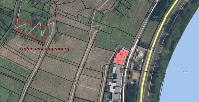 Lageskizze mit Luftbildunterlegung - Vertragsfreie Waldfläche in direkter Nachbarschaft von Weinbauflächen oberhalb der Mosel **zwischen Koblenz und Trier**