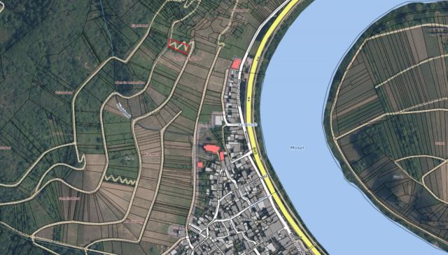Lageskizze mit Umgebung und Luftbildunterlegung - Vertragsfreie Waldfläche in direkter Nachbarschaft von Weinbauflächen oberhalb der Mosel **zwischen Koblenz und Trier**