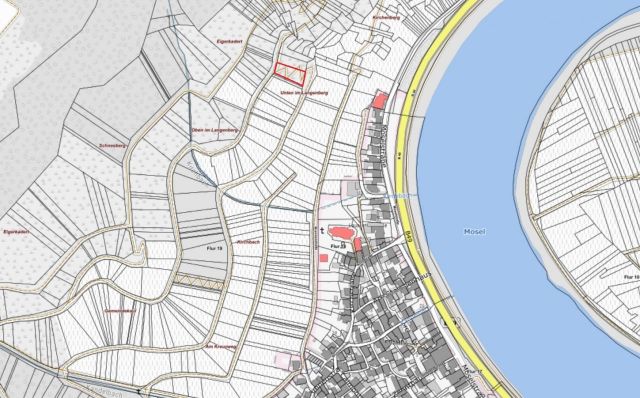 Lageskizze mit Umgebung - Vertragsfreie Waldfläche in direkter Nachbarschaft von Weinbauflächen oberhalb der Mosel **zwischen Koblenz und Trier**