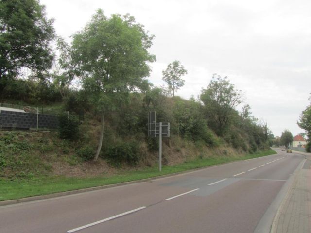 Blick auf die Verkaufsfläche und Umgebung - Vertragsfreie Gehölzfläche in Hanglage am nördlichen Ortsausgang