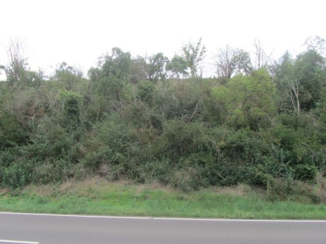 Verkaufsfläche - Vertragsfreie Gehölzfläche in Hanglage am nördlichen Ortsausgang