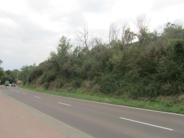 Verkaufsfläche und Umgebung - Vertragsfreie Gehölzfläche in Hanglage am nördlichen Ortsausgang