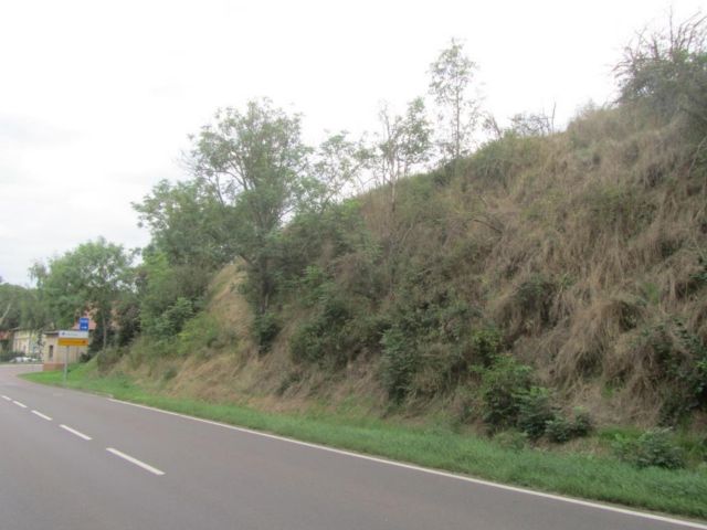 Blick auf die Verkaufsfläche und Umgebung - Vertragsfreie Gehölzfläche in Hanglage am nördlichen Ortsausgang