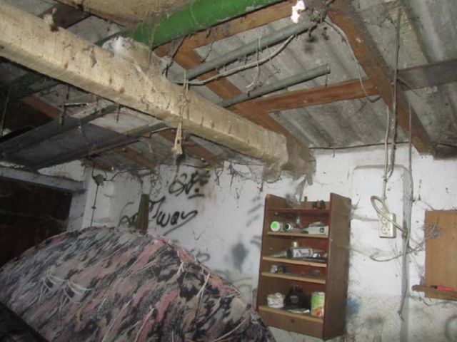 Innenansicht Garage - Vertragsfreie Baulücke und gegenüberliegender ehemaliger Garten mit abrissreifer Garage **zwischen Magdeburg und Leipzig**