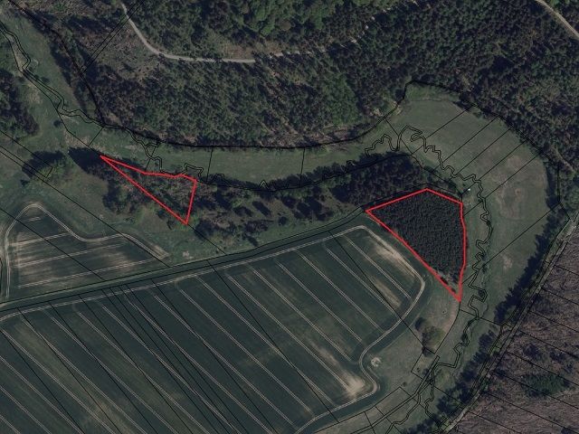 Lageskizze mit Luftbildunterlegung - Vertragsfreier Wald mit einer Größe von etwa 1,1 Hektar im südöstlichen Harz *hoher Totholzanteil*