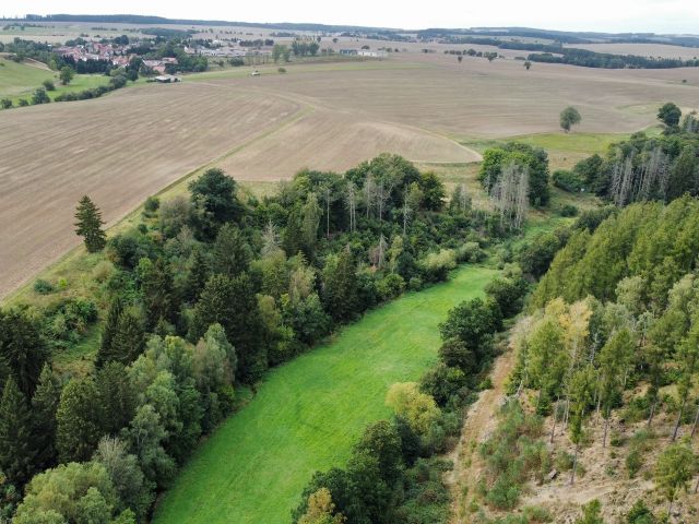 Blick auf Flurstück 26/2 und Umgebung - Vertragsfreier Wald mit einer Größe von etwa 1,1 Hektar im südöstlichen Harz *hoher Totholzanteil*