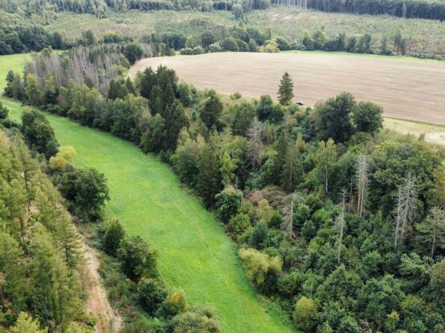 Flurstück 26/2 und Umgebung - Vertragsfreier Wald mit einer Größe von etwa 1,1 Hektar im südöstlichen Harz *hoher Totholzanteil*