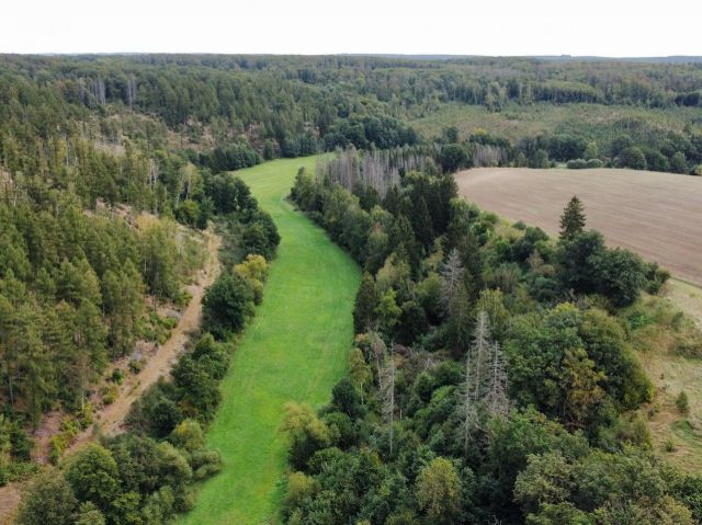 Flurstück 26/2 und Umgebung - Vertragsfreier Wald mit einer Größe von etwa 1,1 Hektar im südöstlichen Harz *hoher Totholzanteil*