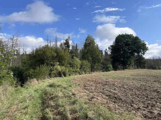 Flurstück 26/4 und Umgebung - Vertragsfreier Wald mit einer Größe von etwa 1,1 Hektar im südöstlichen Harz *hoher Totholzanteil*