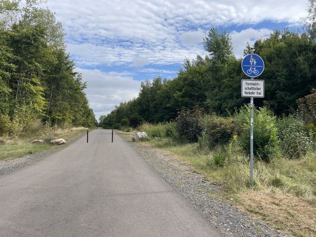 Blick in die Umgebung - Vertragsfreie Waldfläche im östlichen Randbereich des Harzes