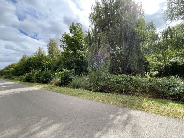 Blick auf die Verkaufsfläche und Umgebung - Vertragsfreie Waldfläche im östlichen Randbereich des Harzes