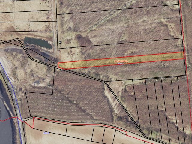 Lageskizze mit Luftbildunterlegung - Über 1,2 Hektar vertragsfreier Waldstreifen im östlichen Randbereich des Harzes