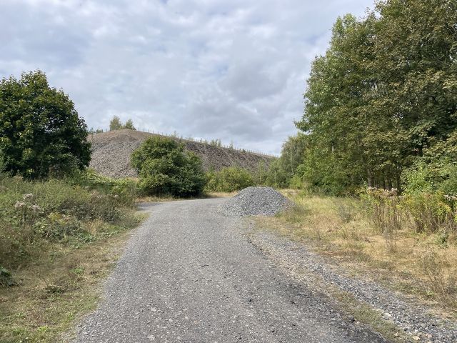 Umgebung - Über 1,2 Hektar vertragsfreier Waldstreifen im östlichen Randbereich des Harzes