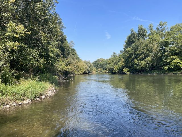 Umgebung `Saale - Vertragsfreie Waldfläche etwa 5 km südwestlich von Halle (Saale)
