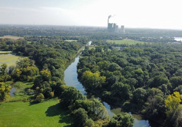 Blick auf die Verkaufsfläche und Umgebung - Vertragsfreie Waldfläche etwa 5 km südwestlich von Halle (Saale)