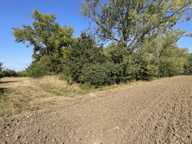 Blick auf die Flurstücke 163/6 und 162/7 und Umgebung - Vertragsfreier Wald & landwirtschaftliche Kleinstfläche etwa 5 km südwestlich von Halle (Saale)