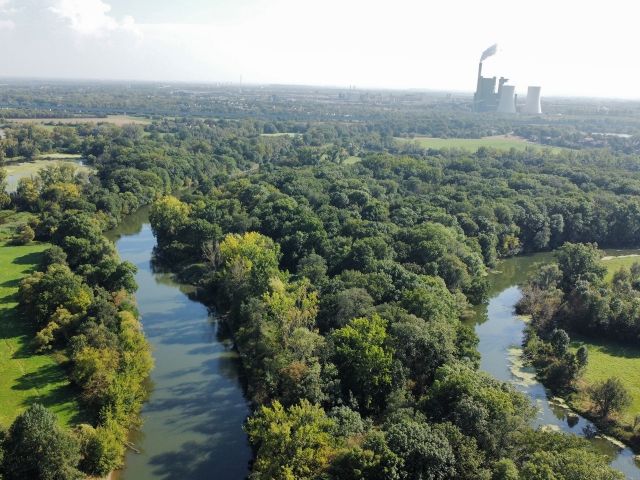 Blick auf die Verkaufsfläche (FS 1/25) und Umgebung - Vertragsfreier Wald & landwirtschaftliche Kleinstfläche etwa 5 km südwestlich von Halle (Saale)