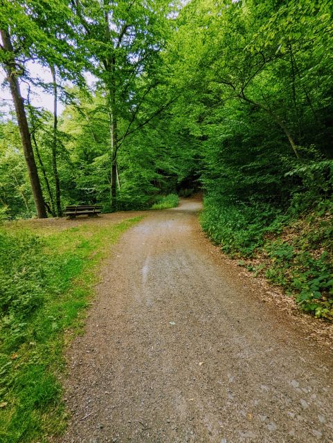 Weg vor dem Grundstück und Umgebung - Bewaldete Uferfläche an der ´Nister´ im Westerwald in der Kroppacher Schweiz und unterhalb der ´Schiefergrube Assberg´