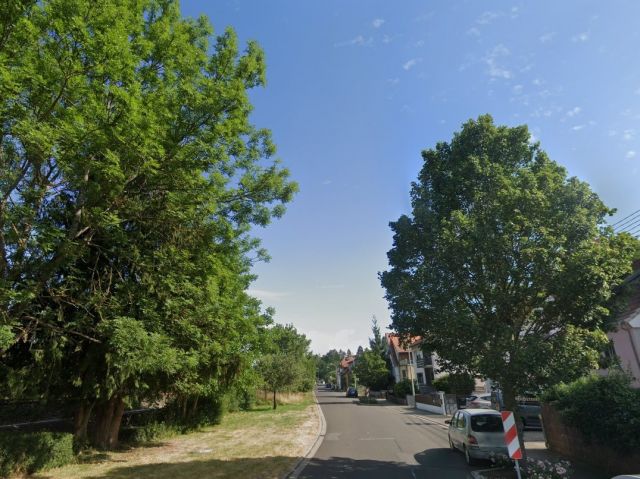 Blick auf den Verkaufsgegenstand mit Umgebung - Kleine Grünfläche mit Bäumen in einem Wohngebiet am südlichen Stadtrand