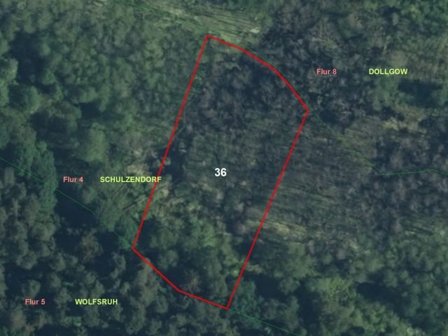 Verkaufsgegenstand - Bewaldete Fläche westlich von Großwoltersdorf **Lage im Naturpark Stechlin-Ruppiner Land**