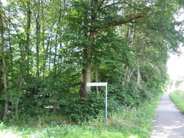 Blick auf Verkaufsfläche und Umgebung - Vertragsfreie Gehölzfläche ca. 18 km nördlich von Osnabrück